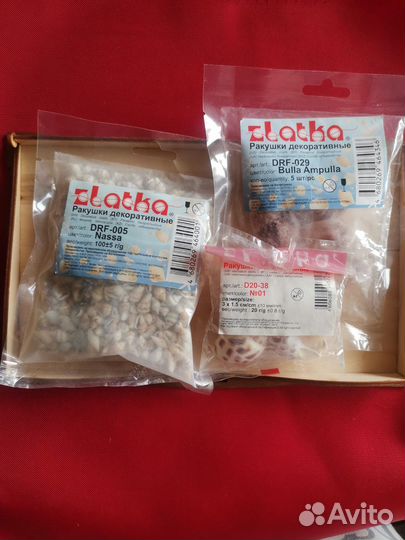 Ракушки для поделок