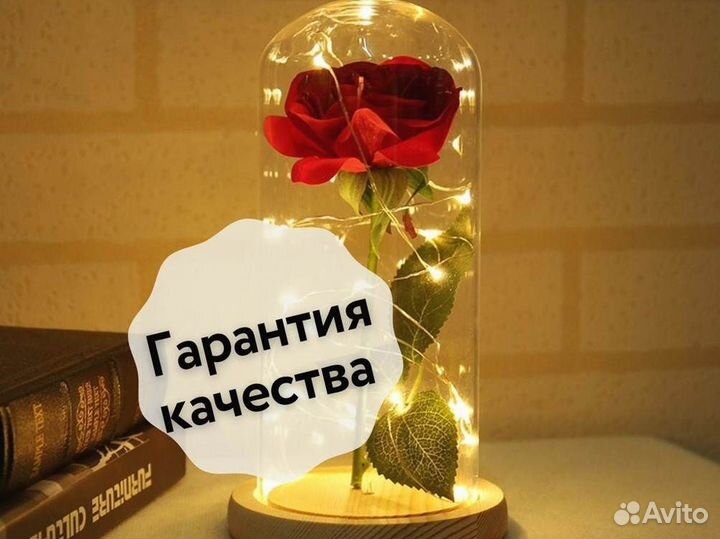 Роза в колбе. Вечная