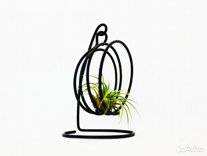 Подставка для тилландсии