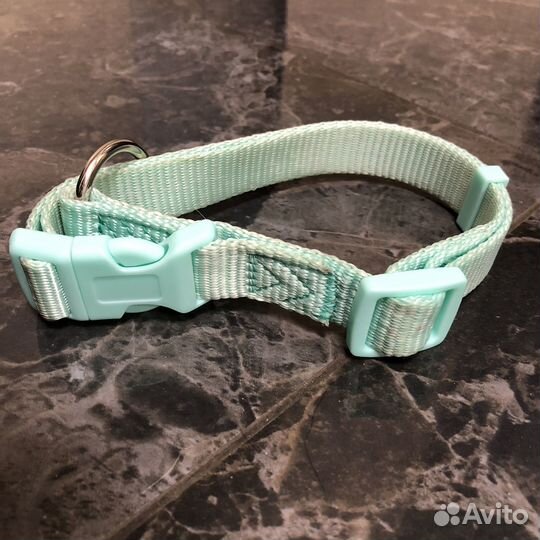 Амуниция для собак