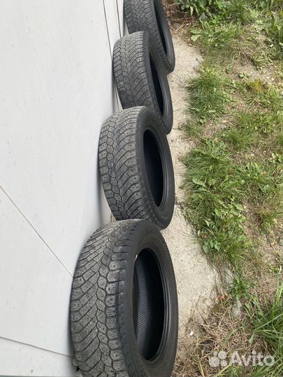 Gislaved Nord Frost 200 195/65 R15