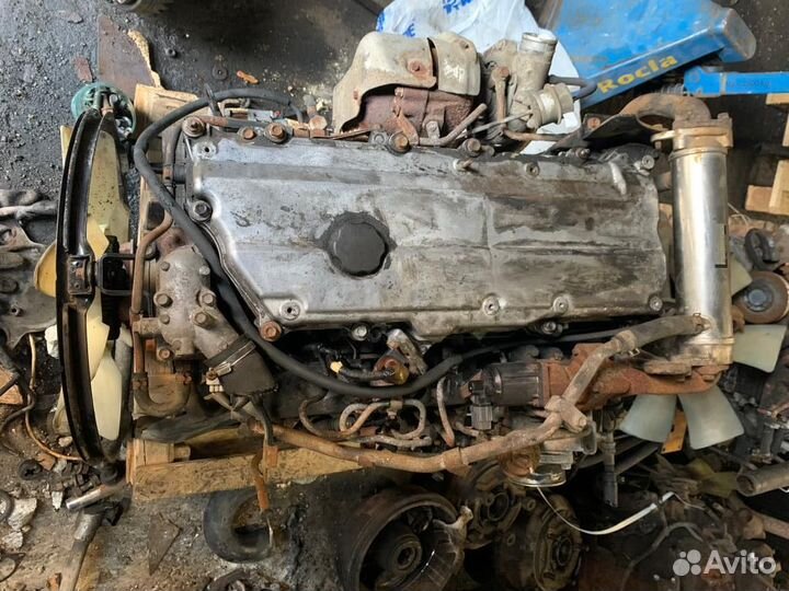 Двигатель в сборе двс Isuzu NQR75 4HK1-XS E3