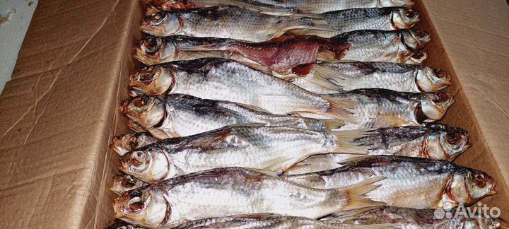 Астраханская вобла