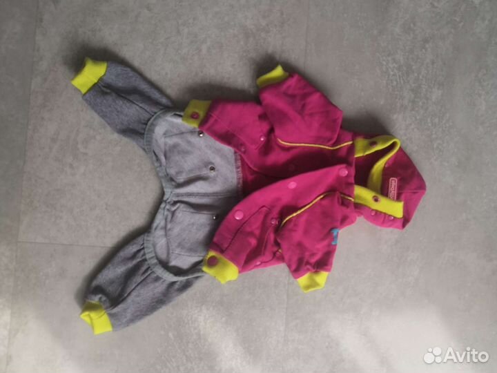 Одежда для собак