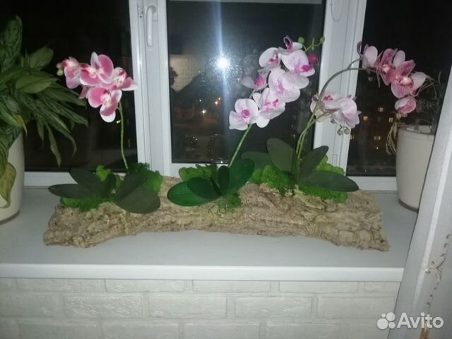 Пробковый блок для орхидей из коры дуба