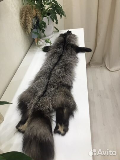 Шкурки чернобурки