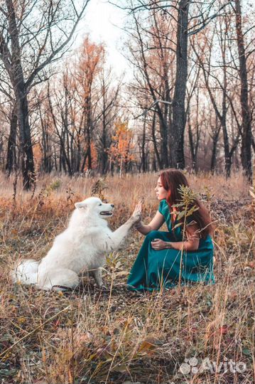 Фотосессия в студии с фотографом