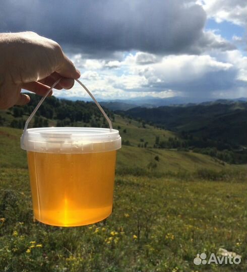 Мёд,горный,натуральный