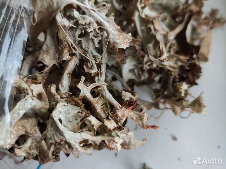 Исландский мох (сироп и трава)