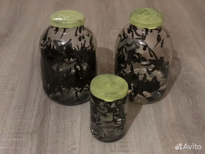 Пиявки