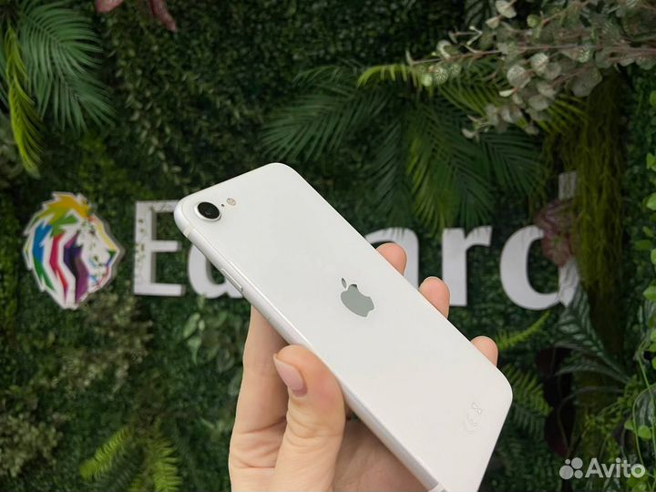 iPhone Se 2020 64Gb