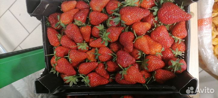 Клубника Азербайджан