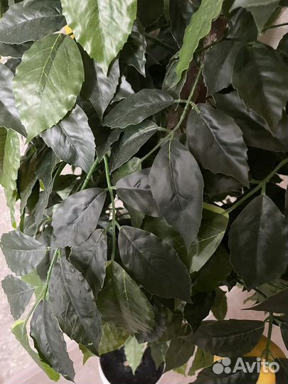 Лимонное дерево с плодами (искусственное)