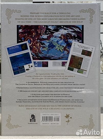 Zelda Breath Of The Wild Creating A Champion