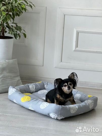 Лежанки Новые