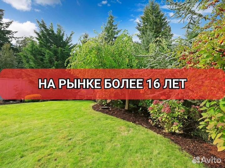 Укладка рулонного газона эконом