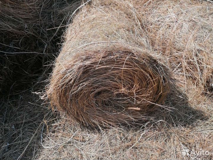 Сено луговое