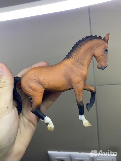 Ганновер кобыла