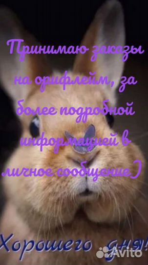 Заказы орифлейм