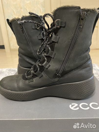 Сапоги женские Ecco 38