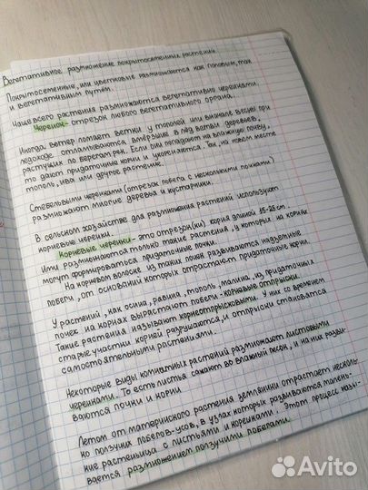 Перепись лекций / конспектов