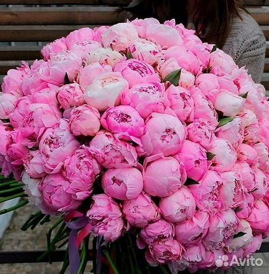 Пионы Цветы Доставка