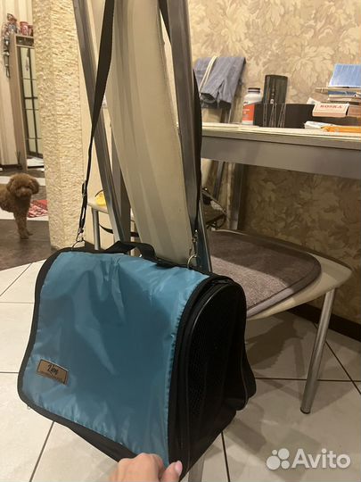 Переноска для кошек новая