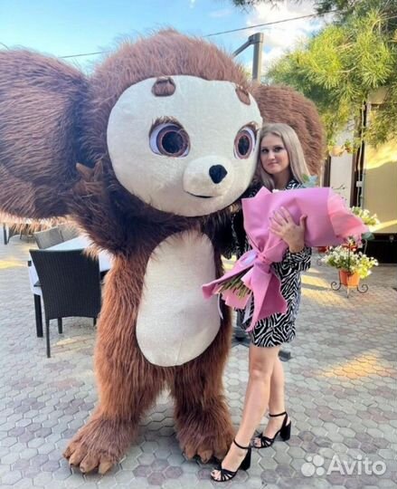 Поздравление от мишки Тедди и Чебурашки