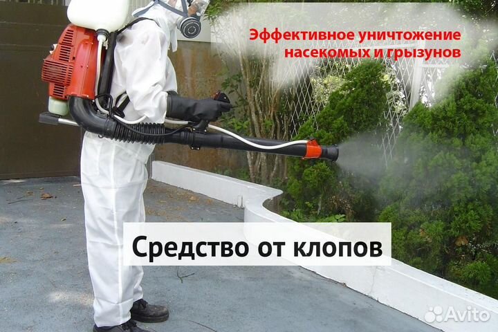 Уничтожение клопов тараканов грызунов блох плесени