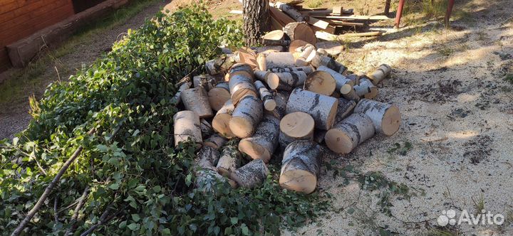 Спил обрезка деревьев. Расчистка участка. Бюджетно