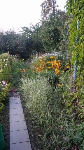 Дача 40 м² на участке 6 сот.