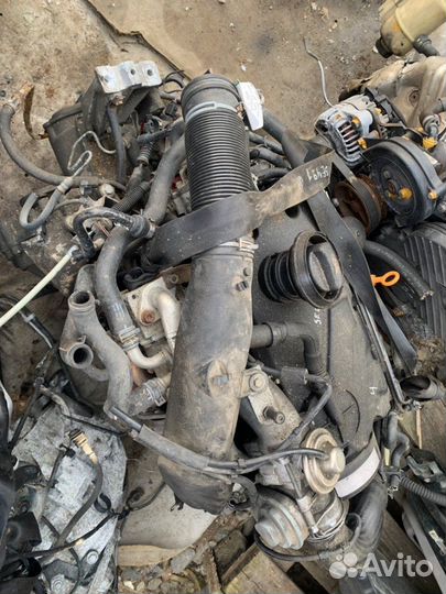 Двигатель Volkswagen Golf 4 AXR