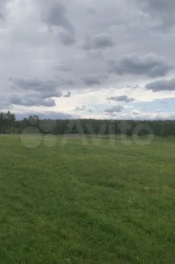 Участок 30 га (ИЖС)