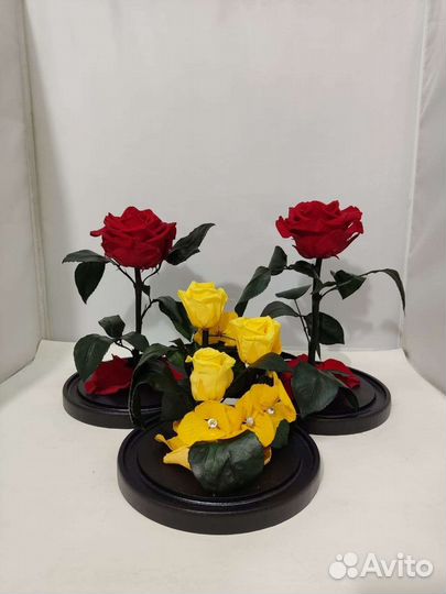 Роза в колбе опт