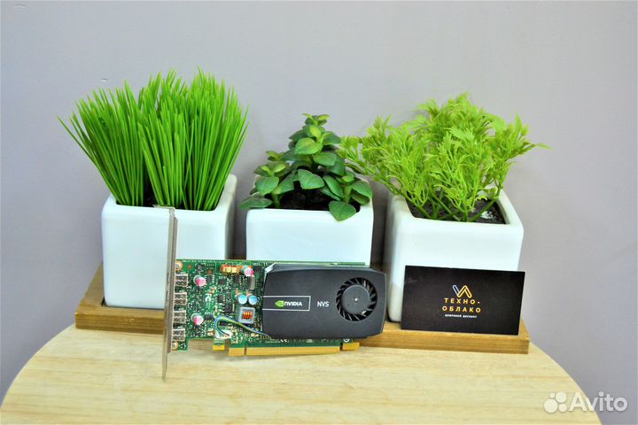 Видеокарта PNY Quadro NVS 510 2Gb