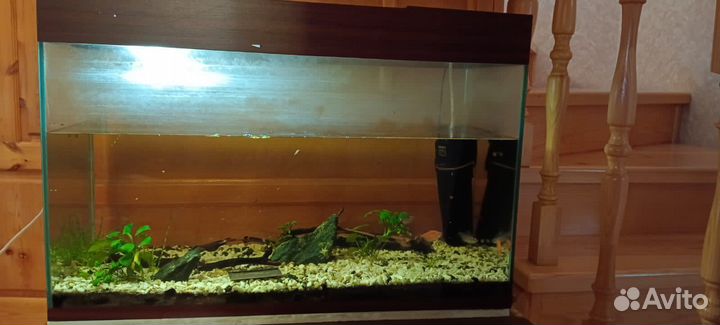 Аквариум