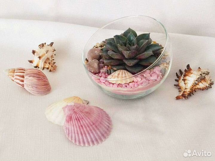 Цветы в подарок