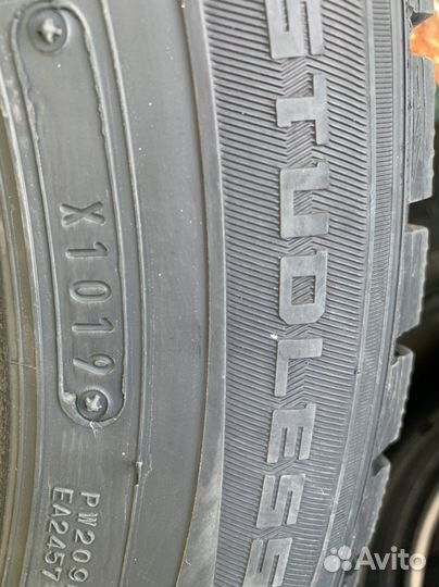 Dunlop SP Winter Maxx WM01 185/65 R15