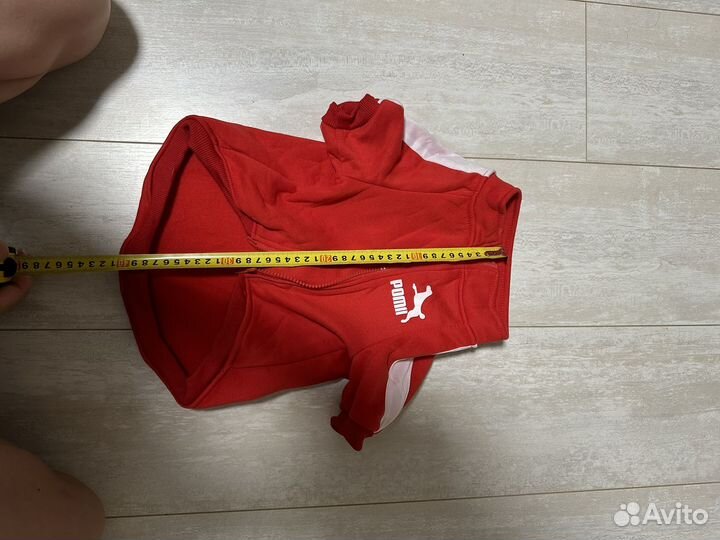 Одежда для собак