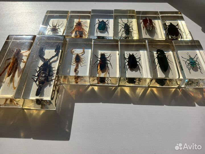 Журнал настоящие насекомые и их знакомые Deagosti