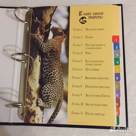 Подборки журнальных наборов