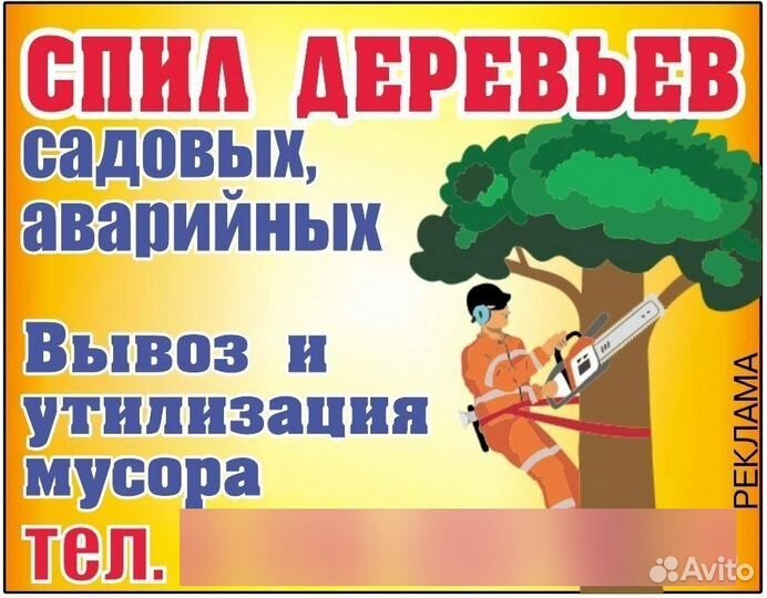 Спил деревьев