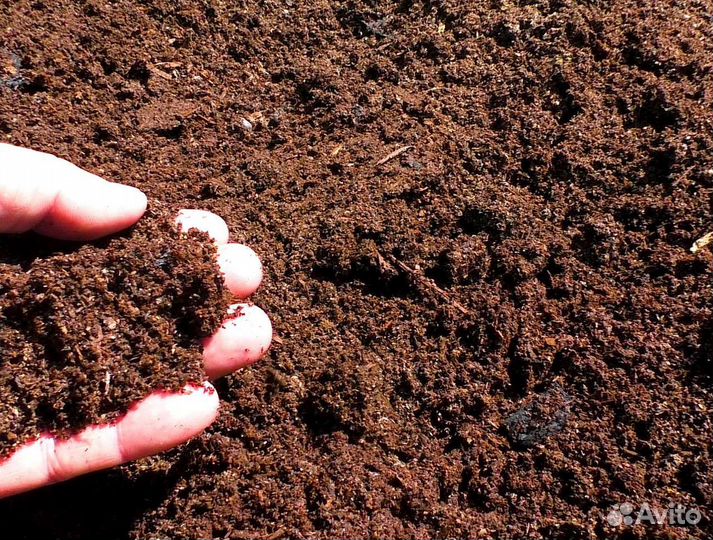 Чернозём,Навоз Перегной, возим от 1 до 8 куб