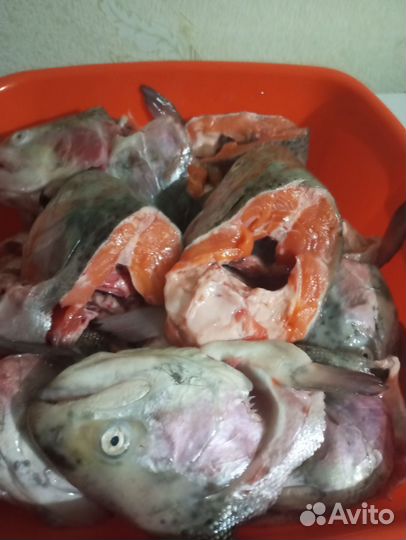 Наборы Сёмги и Форели для ухи,запекания и засолки