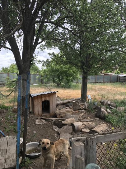 Дом 43,7 м² на участке 9,8 сот.