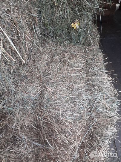 Сено в брикетах