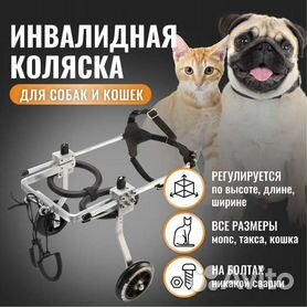 Инвалидные коляски для собак, кошек