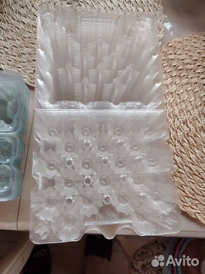 Кассеты для перепилиных яиц