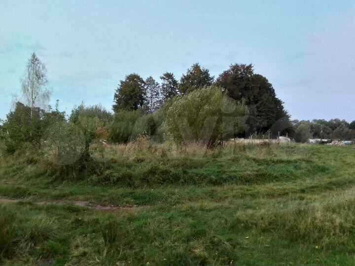 Участок 50 сот. (ИЖС)