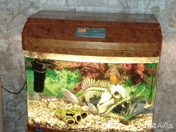 Аквариум с обитателями и инвентарем